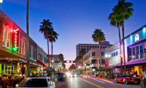 palm-beach